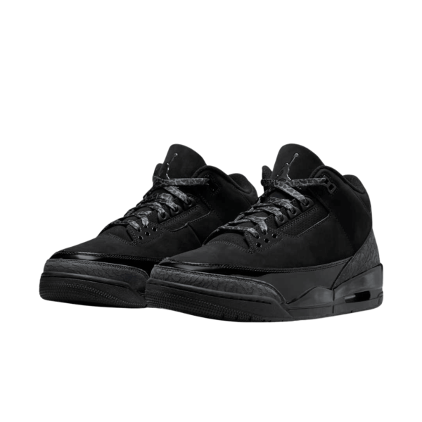 Air Jordan 3 Black Cat (2025)